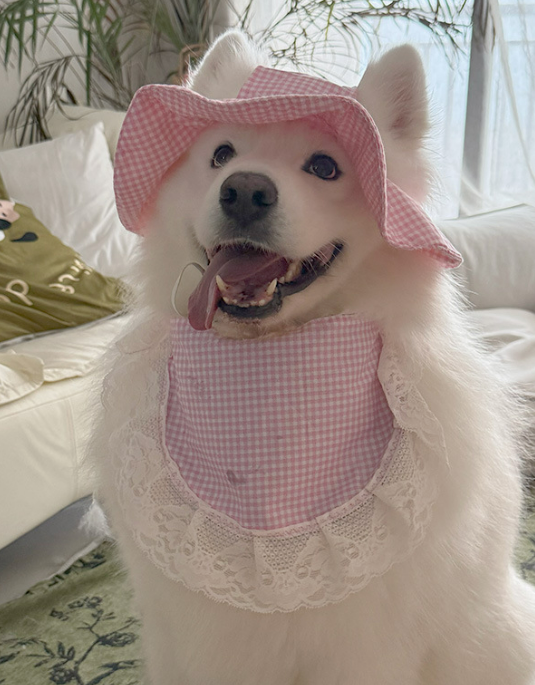 Cute Cartoon Pet Scarf Bib – Adorable Drool Towel for Dogs & Cats