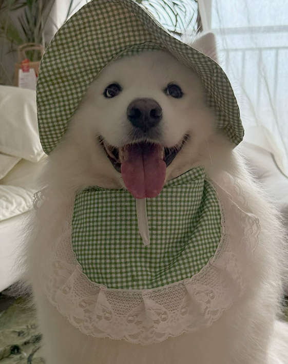 Cute Cartoon Pet Scarf Bib – Adorable Drool Towel for Dogs & Cats