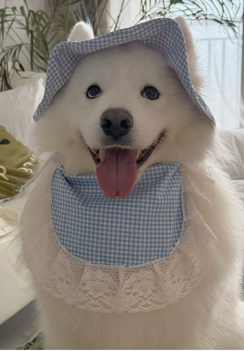 Cute Cartoon Pet Scarf Bib – Adorable Drool Towel for Dogs & Cats