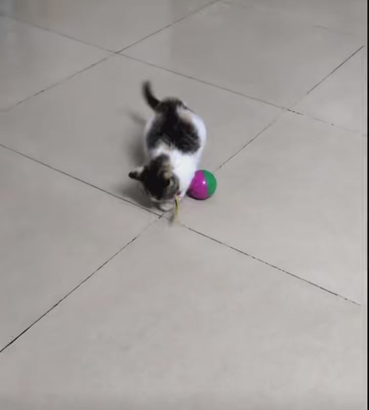 Wobble Plush Mouse Cat Toy – Interactive Roly-Poly Teaser